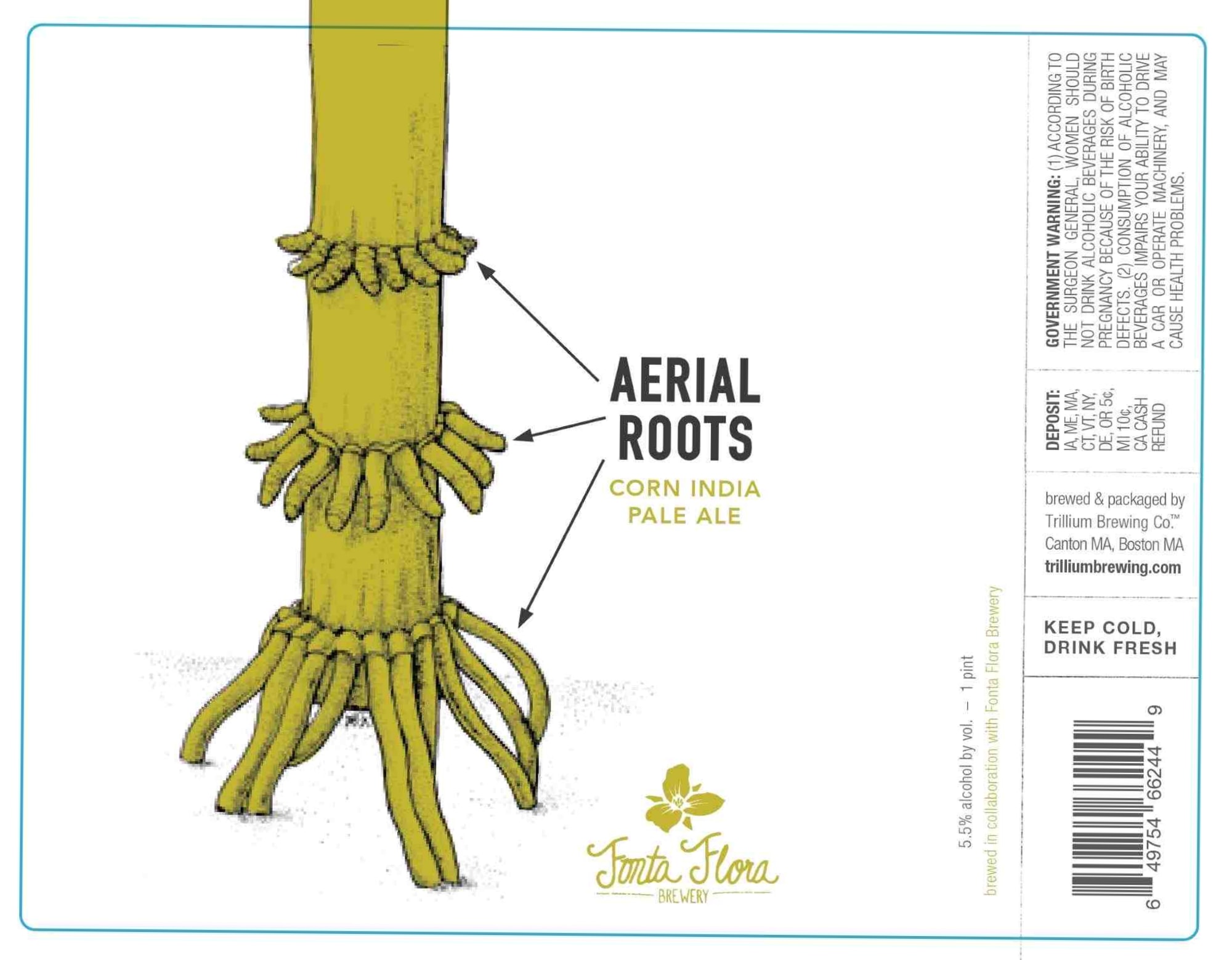 Aerial Roots by Trillium Brewing Co. - beer label