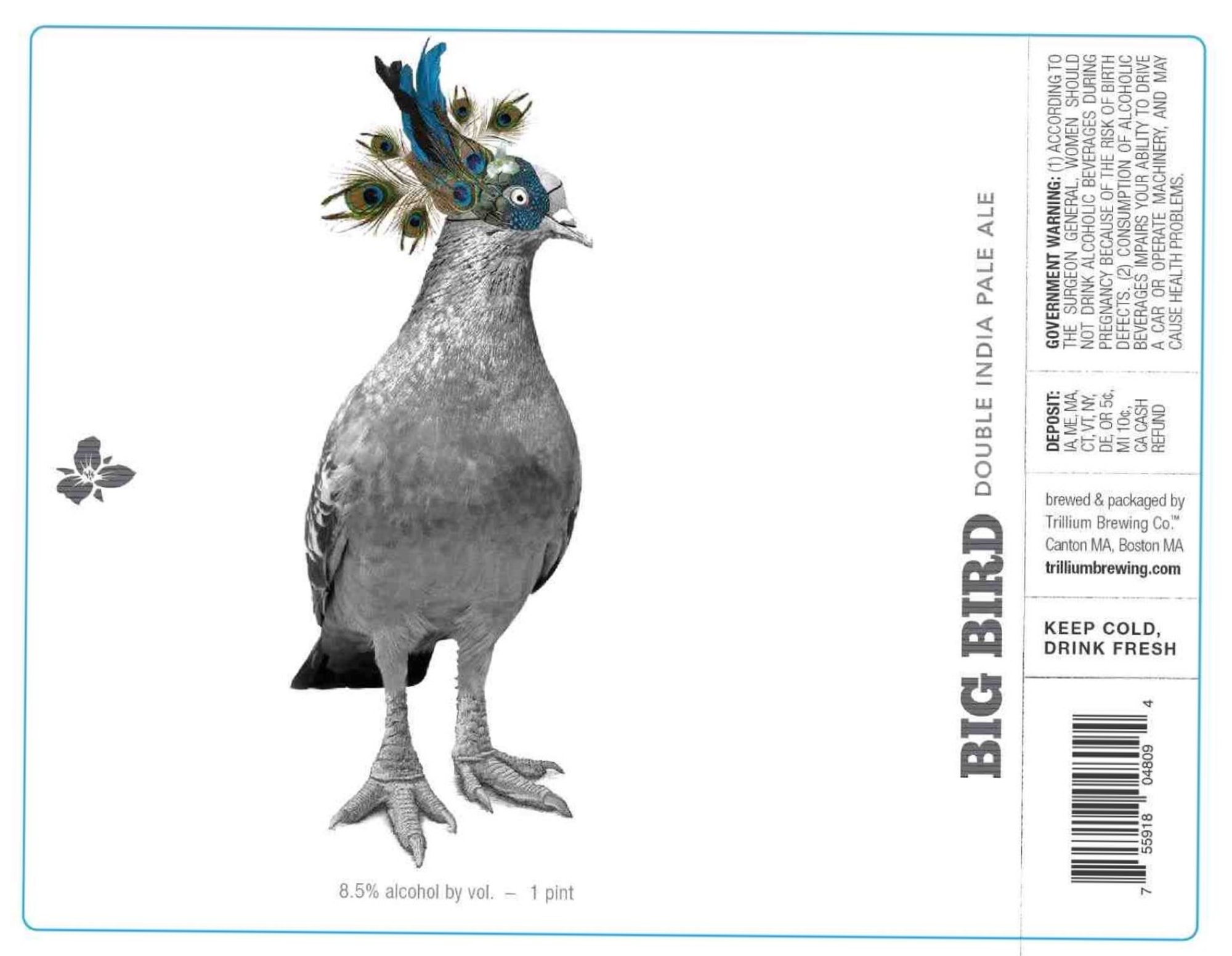 Big Bird by Trillium Brewing - beer label
