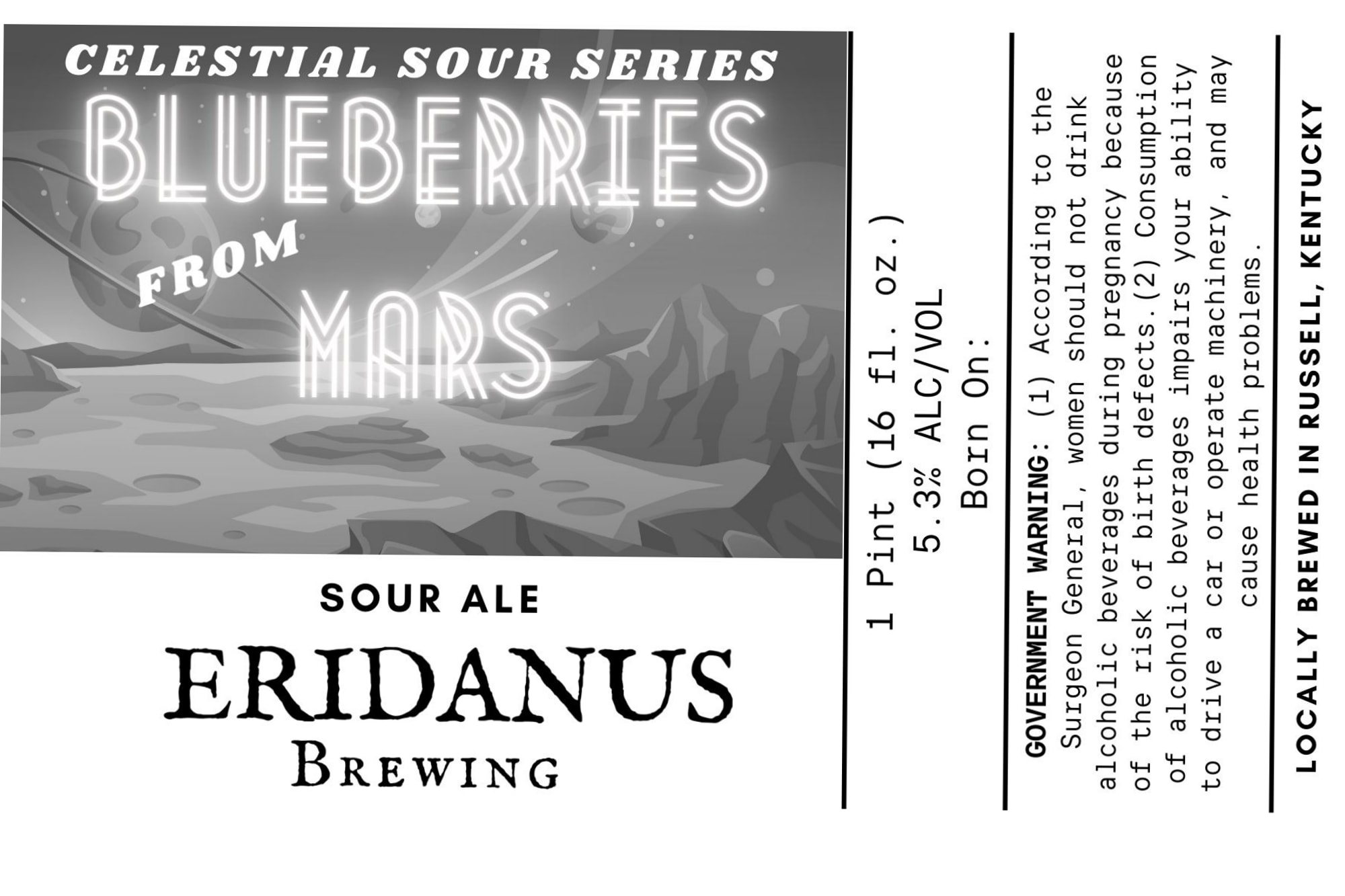 Blueberries from Mars by Eridanus Brewing - beer label