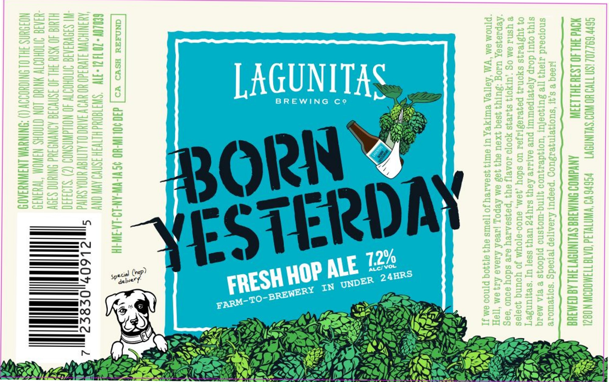Born Yesterday by Lagunitas Brewing Company - beer label