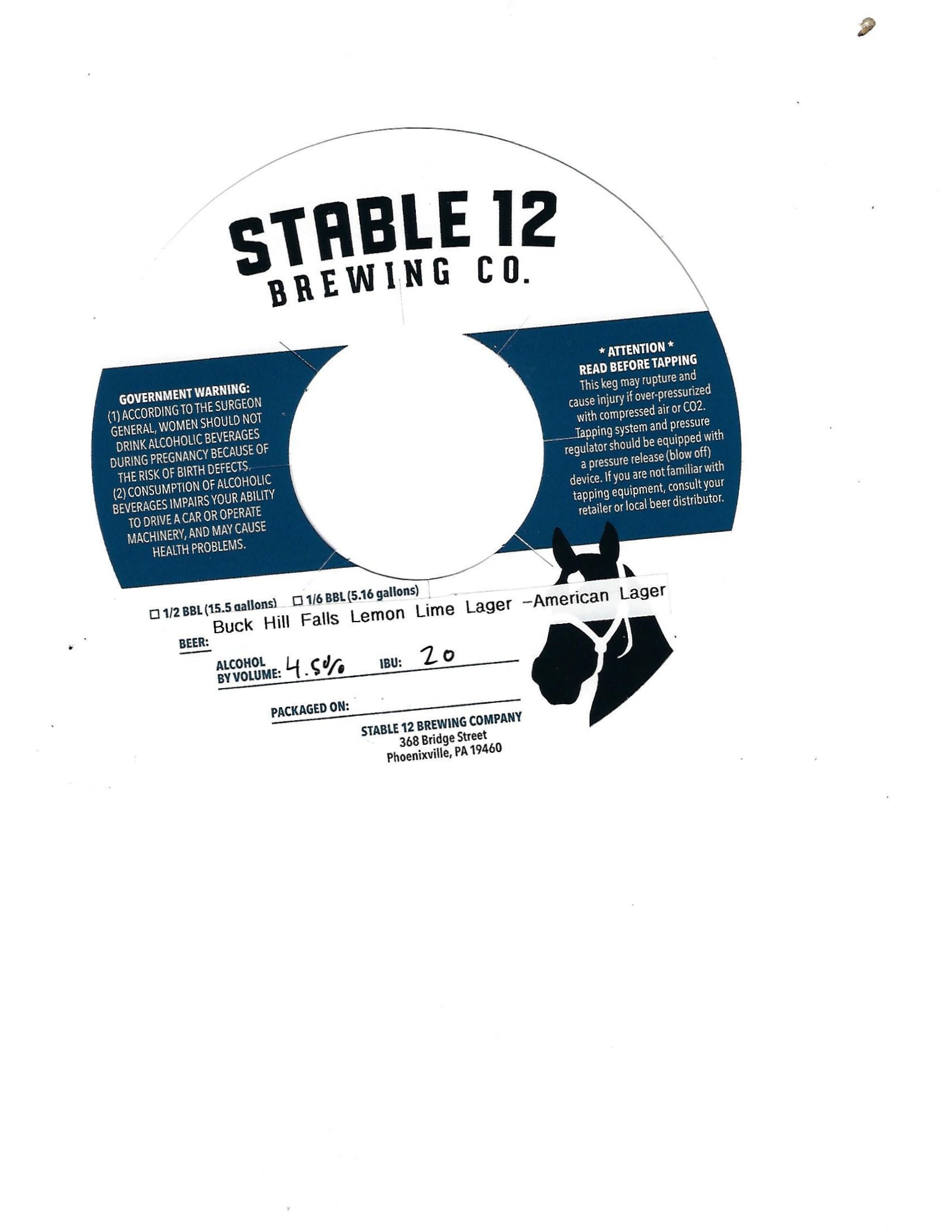 Buck Hill Falls Lemon Lime Lager by Stable 12 Brewing Co. - beer label