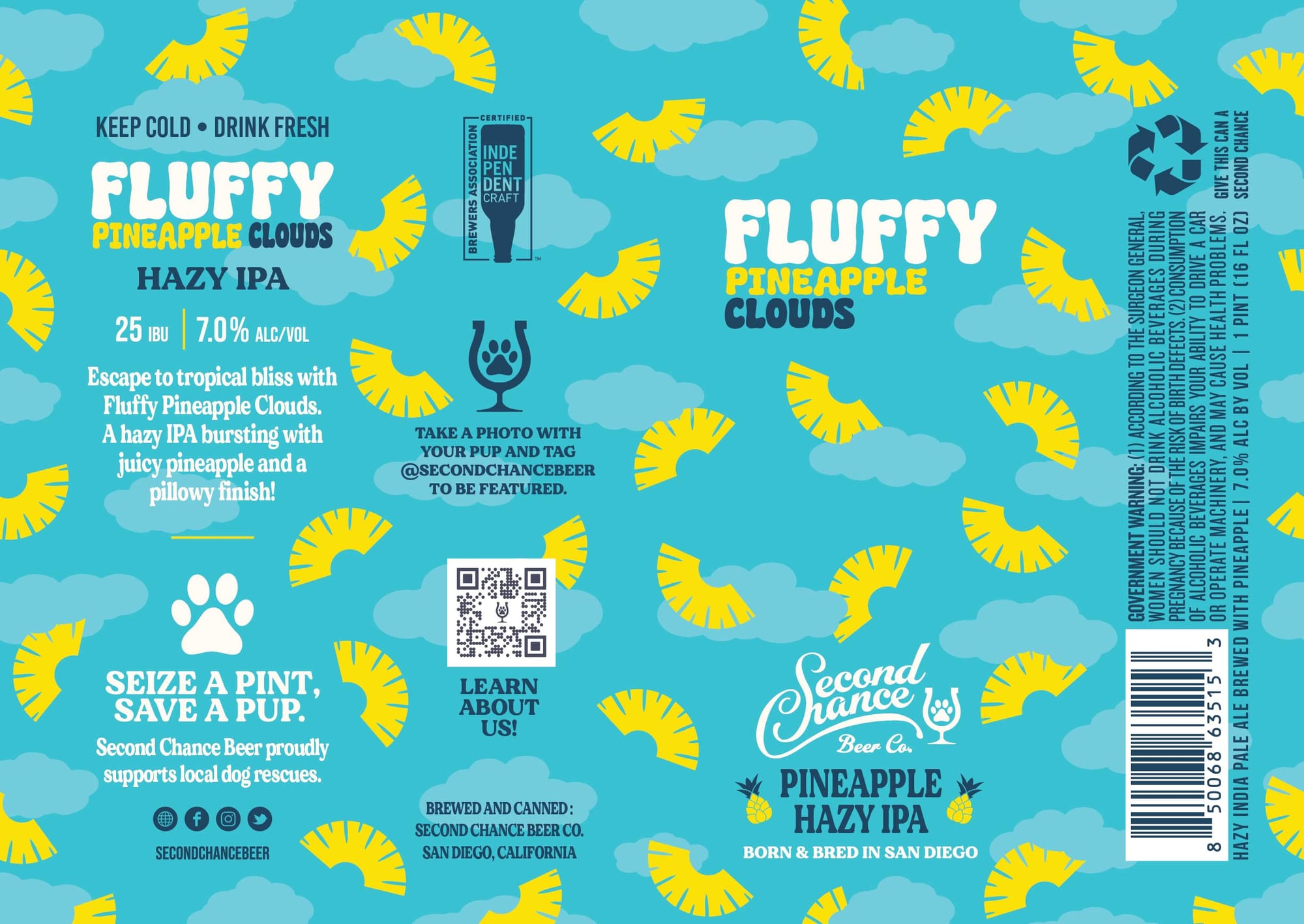 Fluffy Pineapple Clouds by Second Chance Beer Co. - beer label