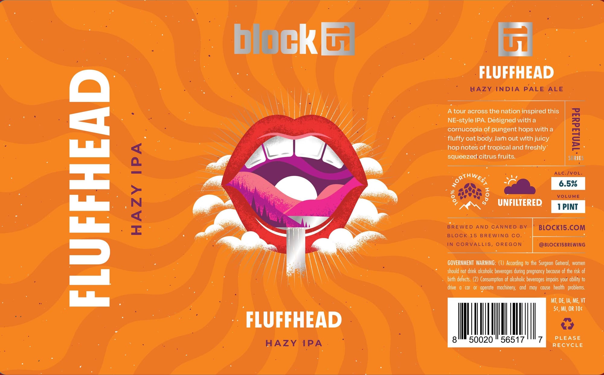 Fluffhead by Block 15 Brewing - beer label