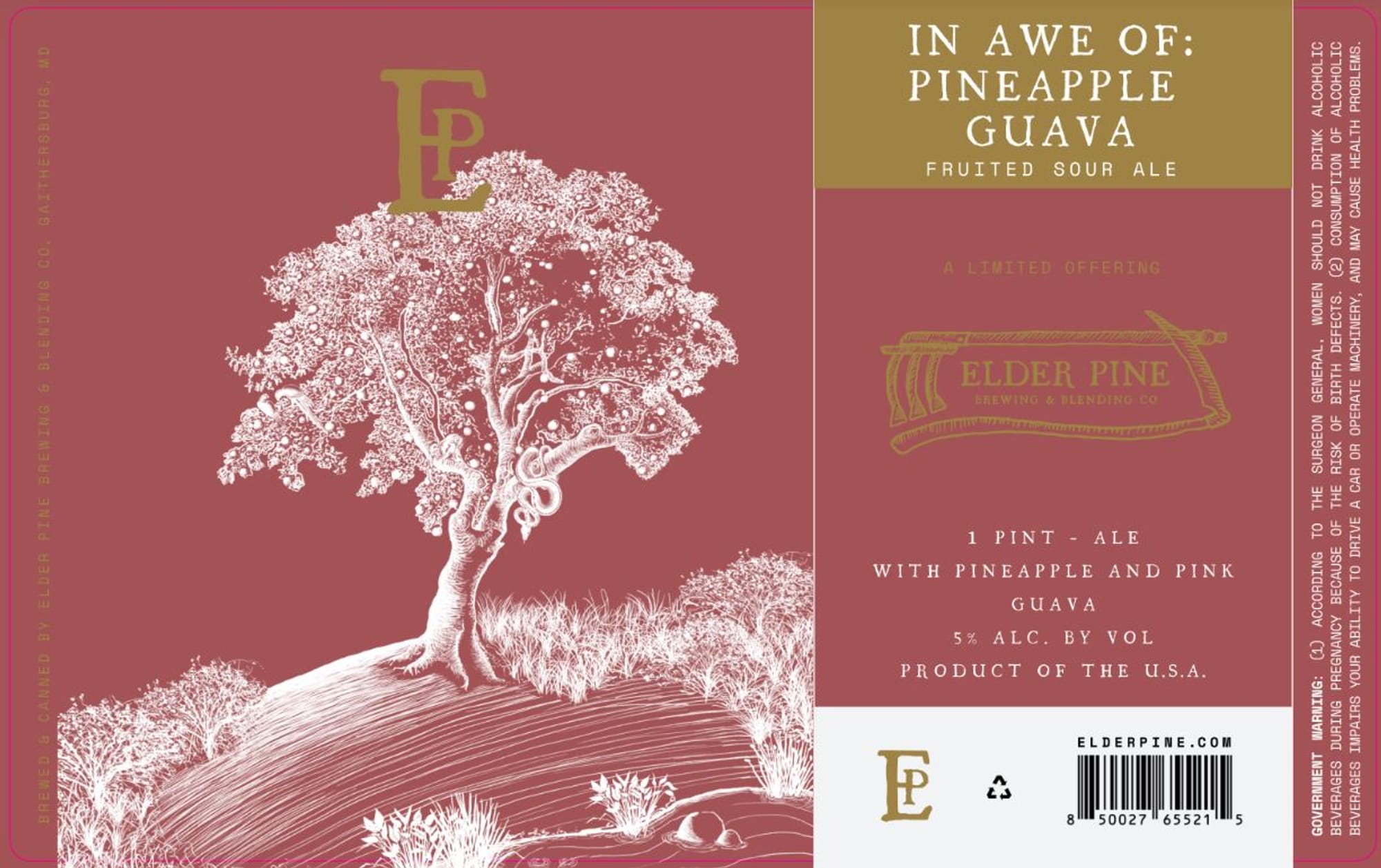 In Awe Of: Pineapple Guava by Elder Pine Brewing & Blending Co. - beer label