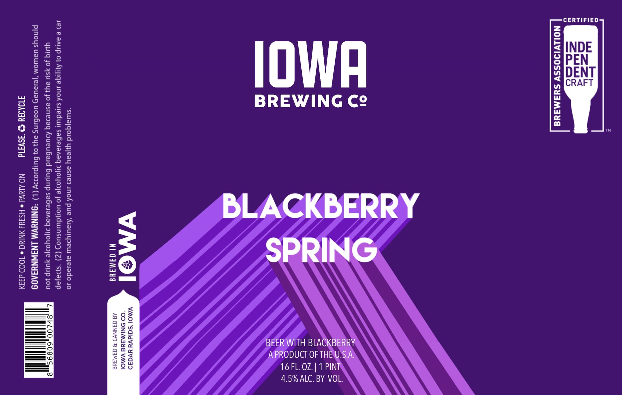 Blackberry Spring by Iowa Brewing Co. - beer label