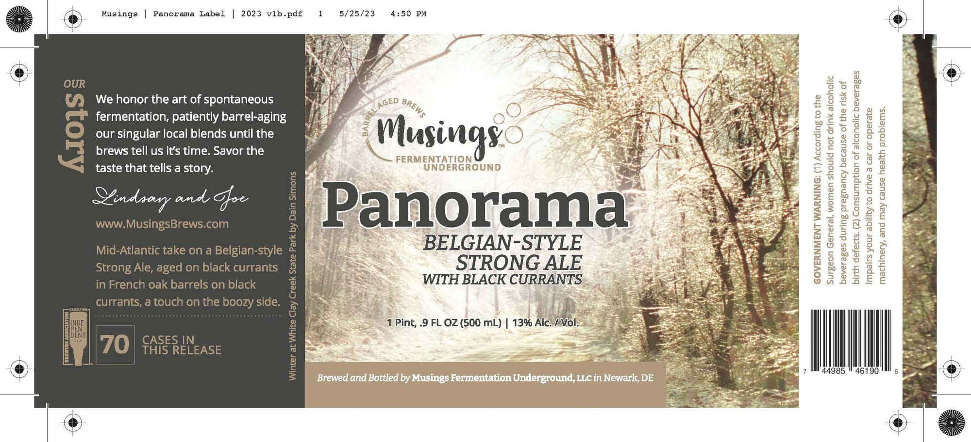 Panorama by Musings Fermentation Underground - beer label