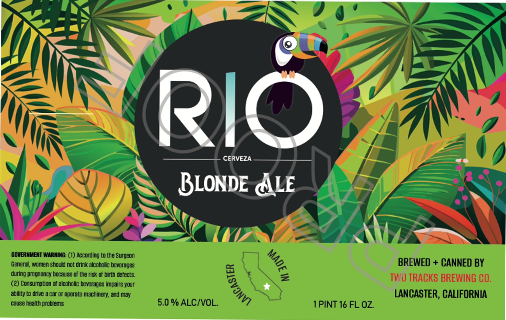 Rio by Two Tracks Brewing Co. - beer label