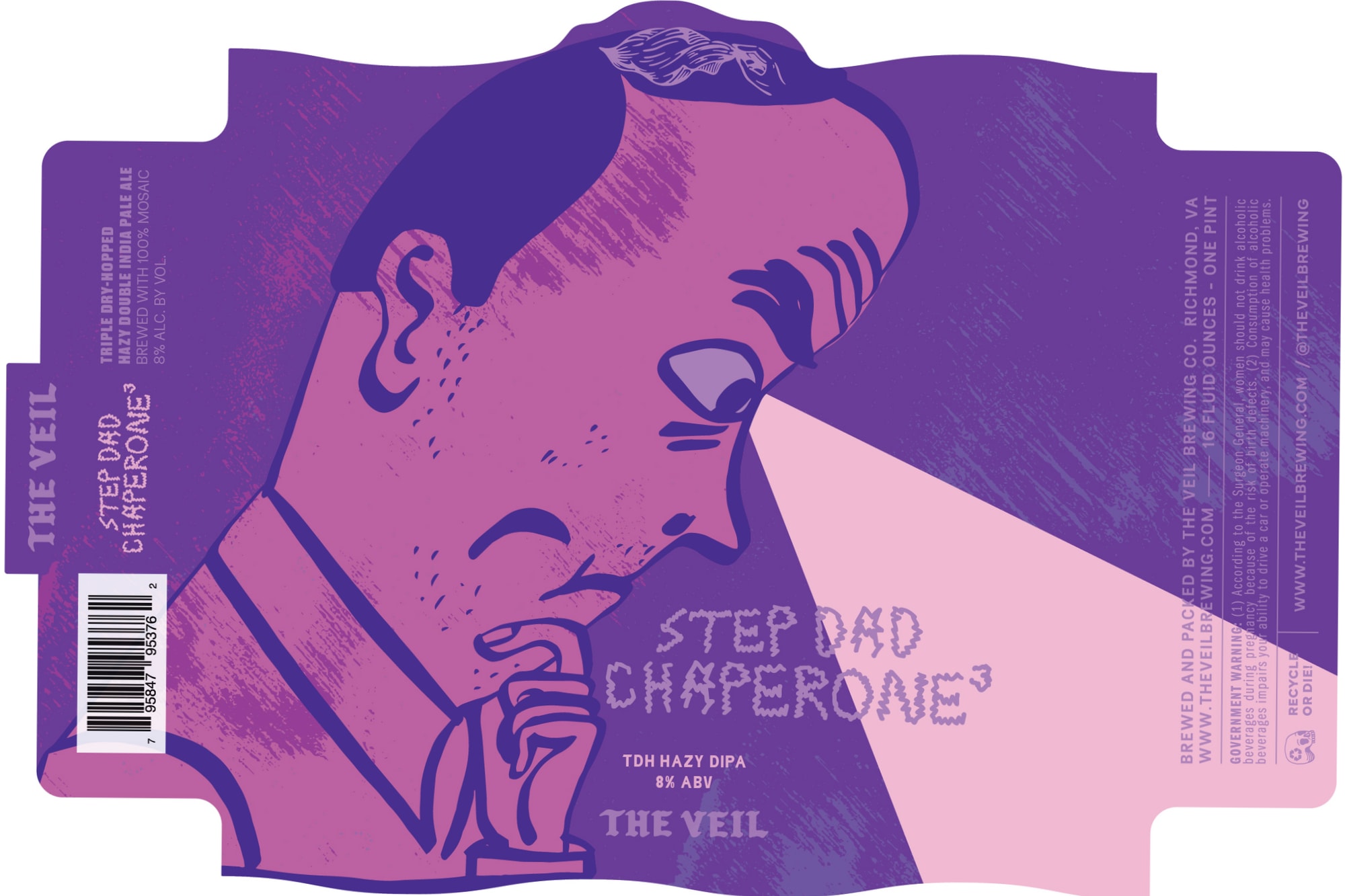 Step Dad Chaperone³ by The Veil Brewing - beer label