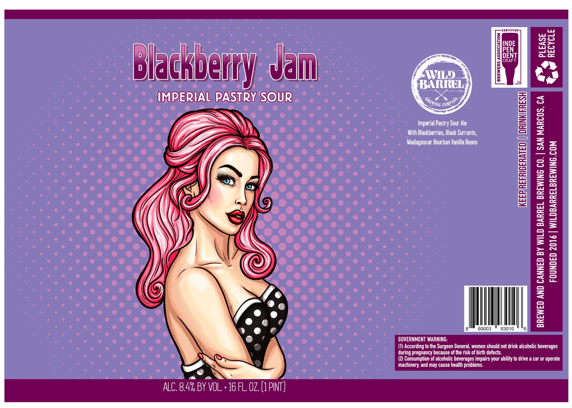 Blackberry Jam Imperial Pastry Sour Ale by Wild Barrel Brewing Company - beer label